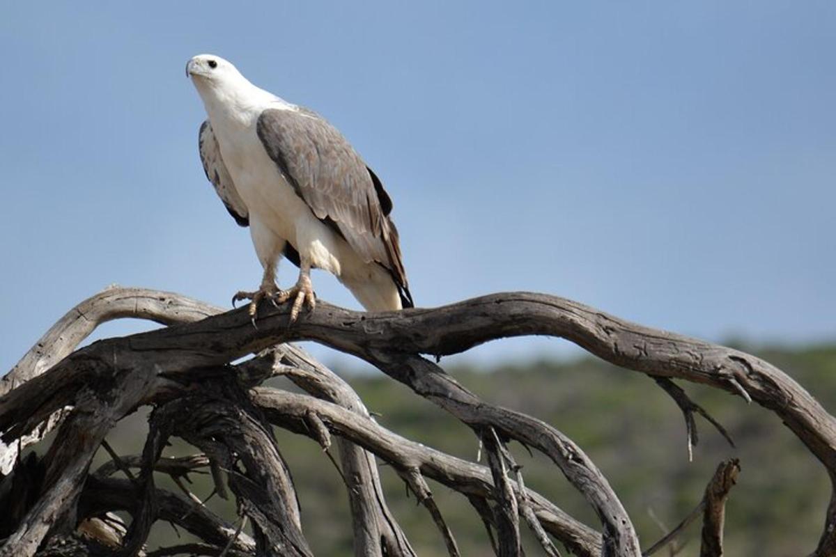 Lankytinos vietos ar pramogos nuotrauka numeris 7