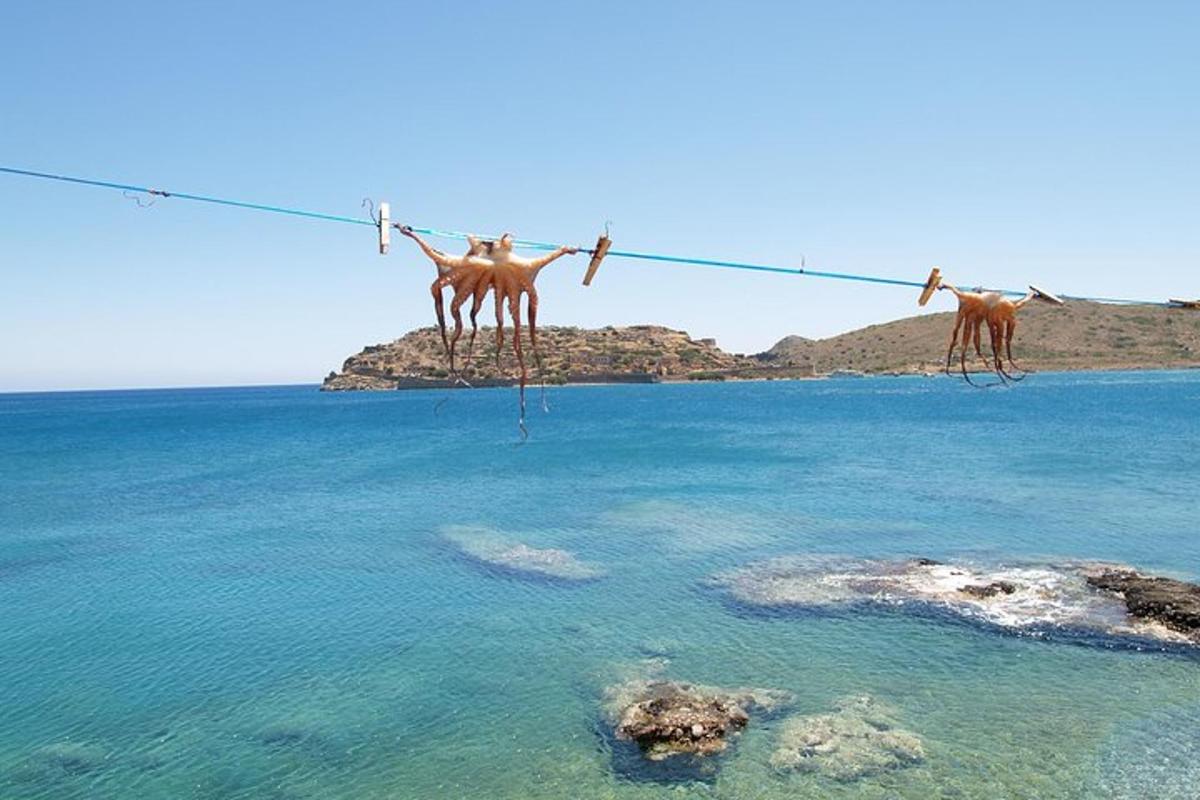 τρία ζώα κρεμασμένα σε σκοινί απλώματος πάνω από το νερό