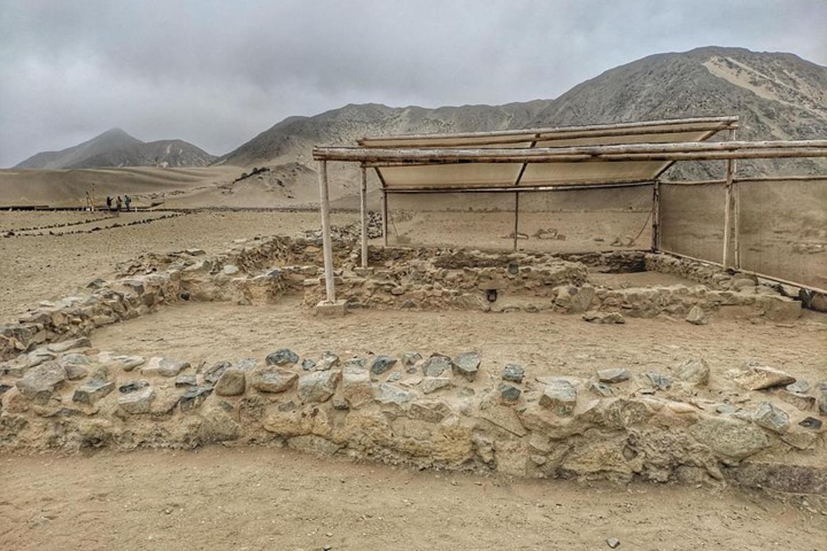 um rebanho de ovelhas em volta de um prédio no deserto