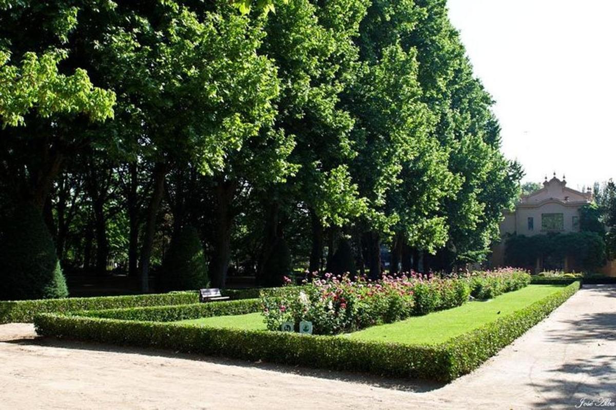 taman dengan deretan bunga dan pokok
