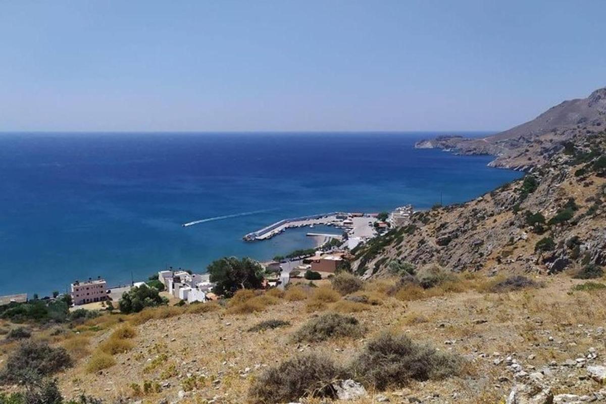a group of buildings on a hill next to the ocean