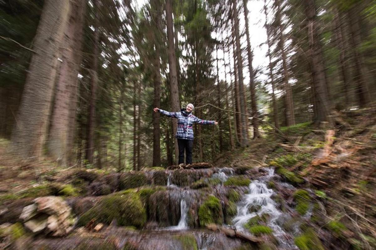 mees seisab metsas kaljul