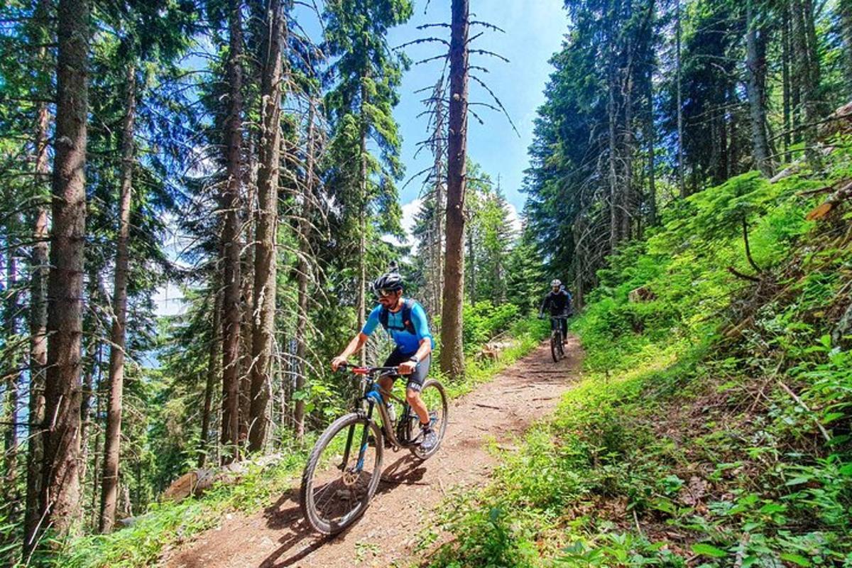 două persoane mergând cu bicicleta pe o potecă în pădure
