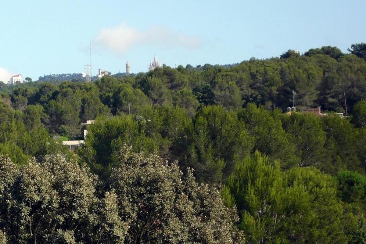 Foto 4 de la atracción turística