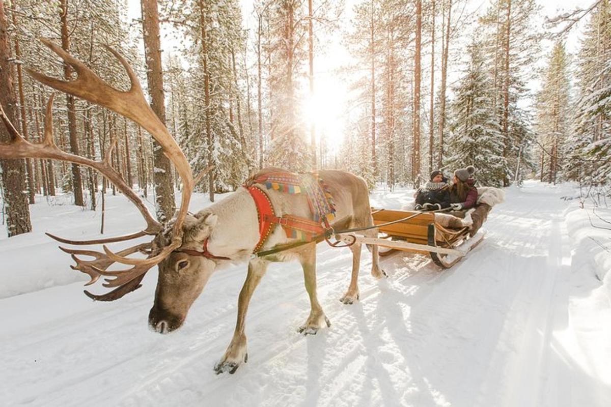 a reindeer pulling a sleigh with two people