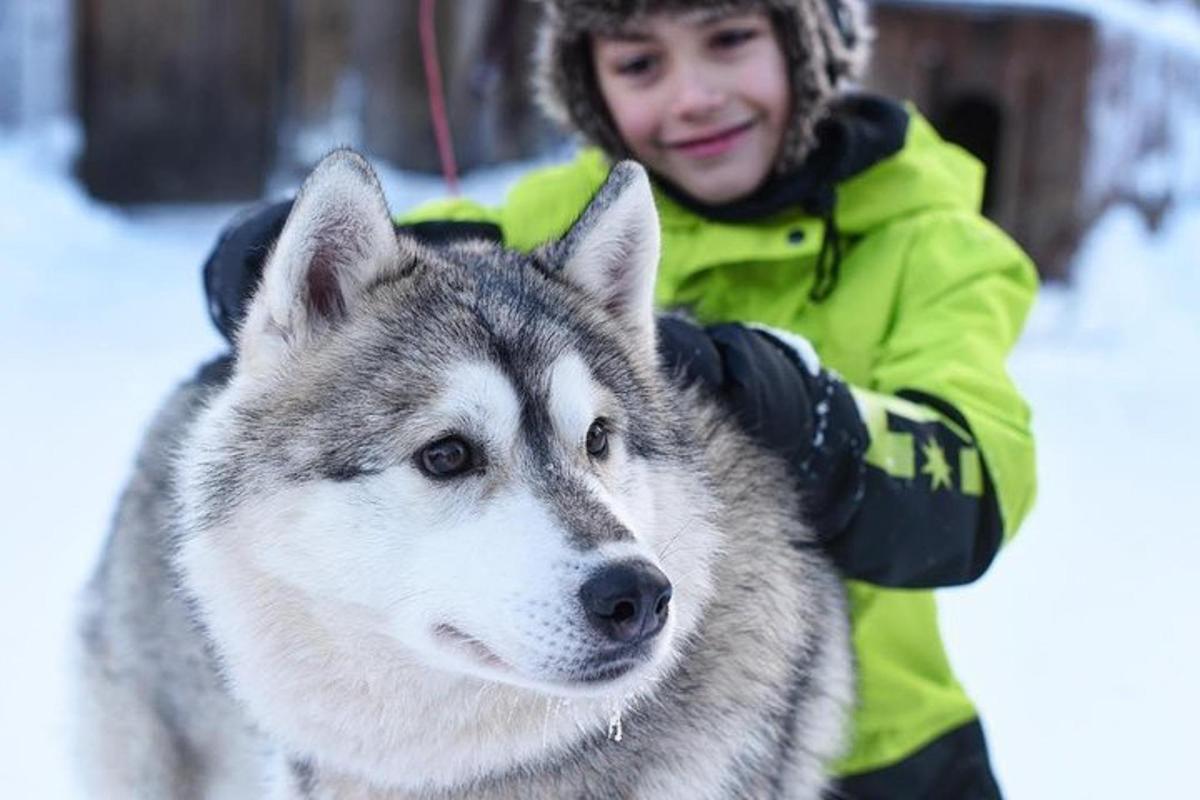 Bild 3 av sevärdheten