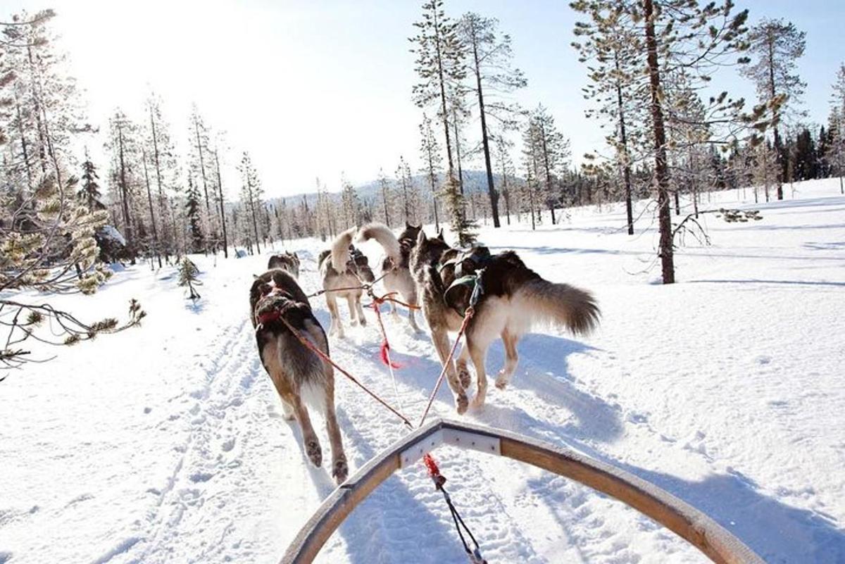 Bild 4 av sevärdheten