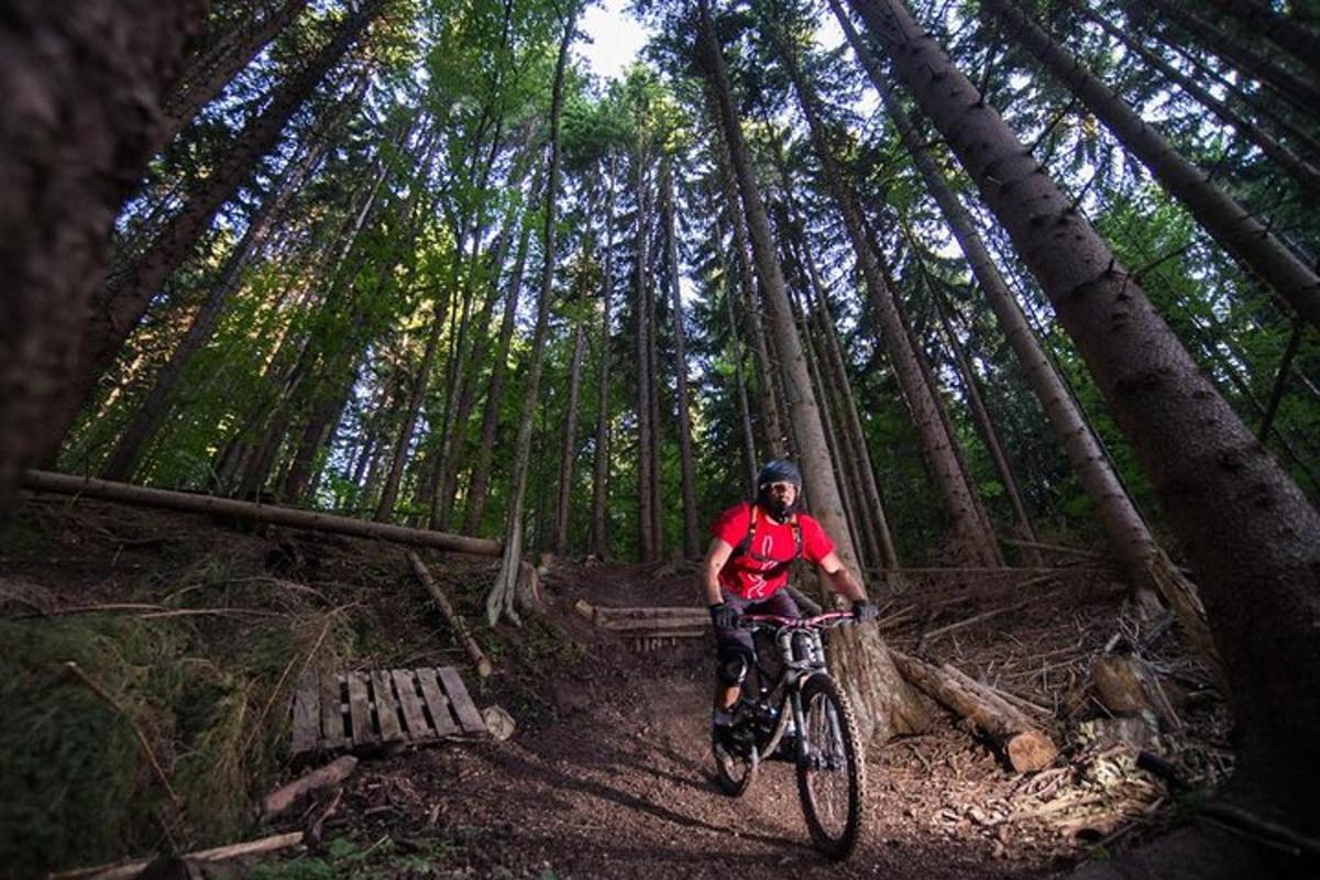 un uomo in bicicletta su un sentiero nel bosco