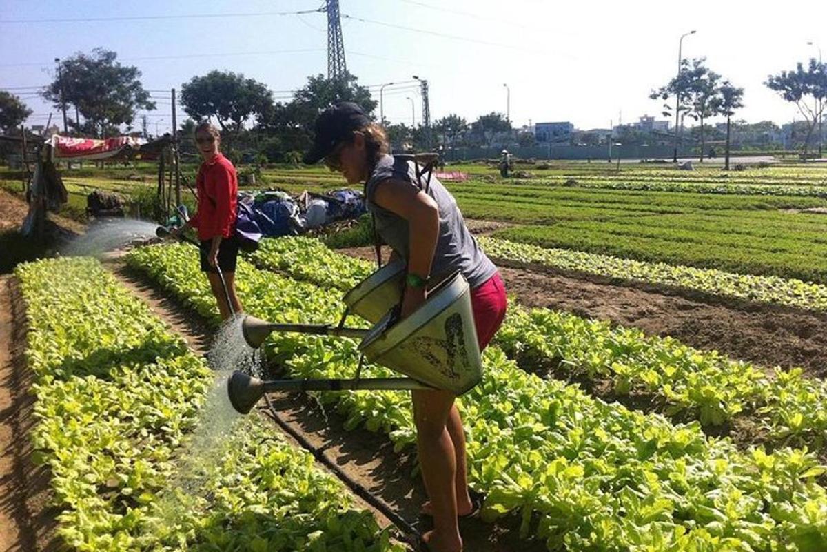 una donna sta lavorando in un campo con una pompa dell'acqua