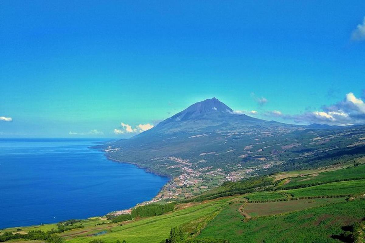 Lankytinos vietos ar pramogos nuotrauka numeris 6