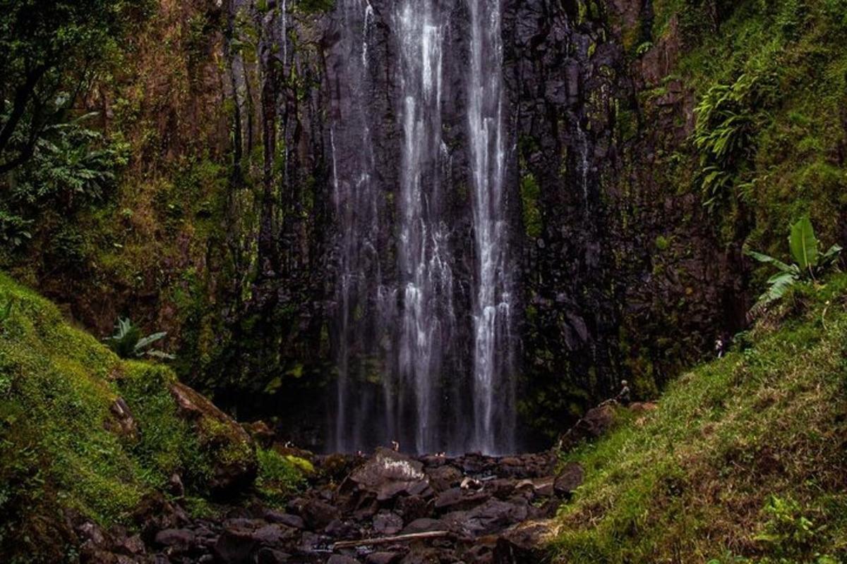 una cascata in mezzo a una foresta