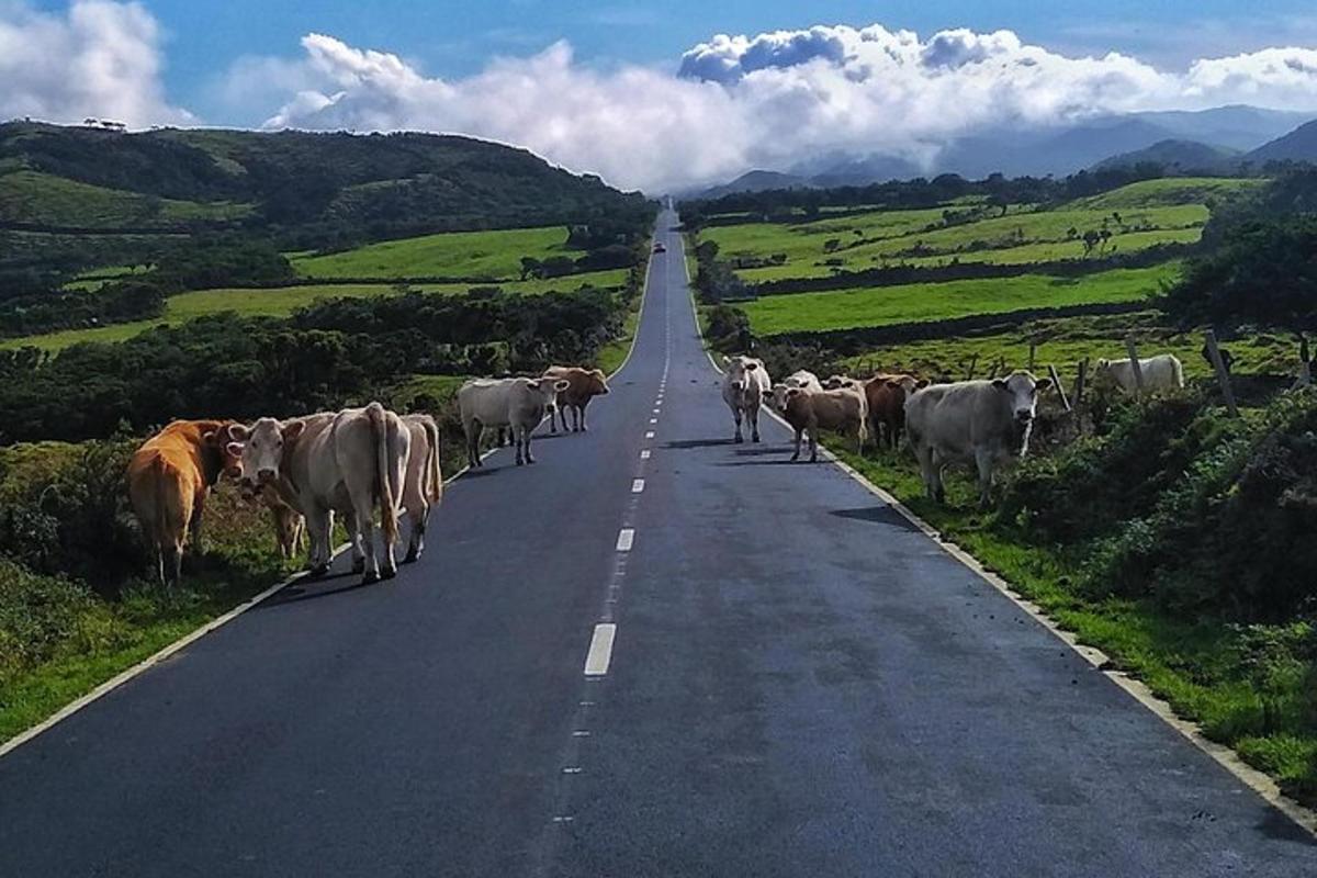 Lankytinos vietos ar pramogos nuotrauka numeris 4