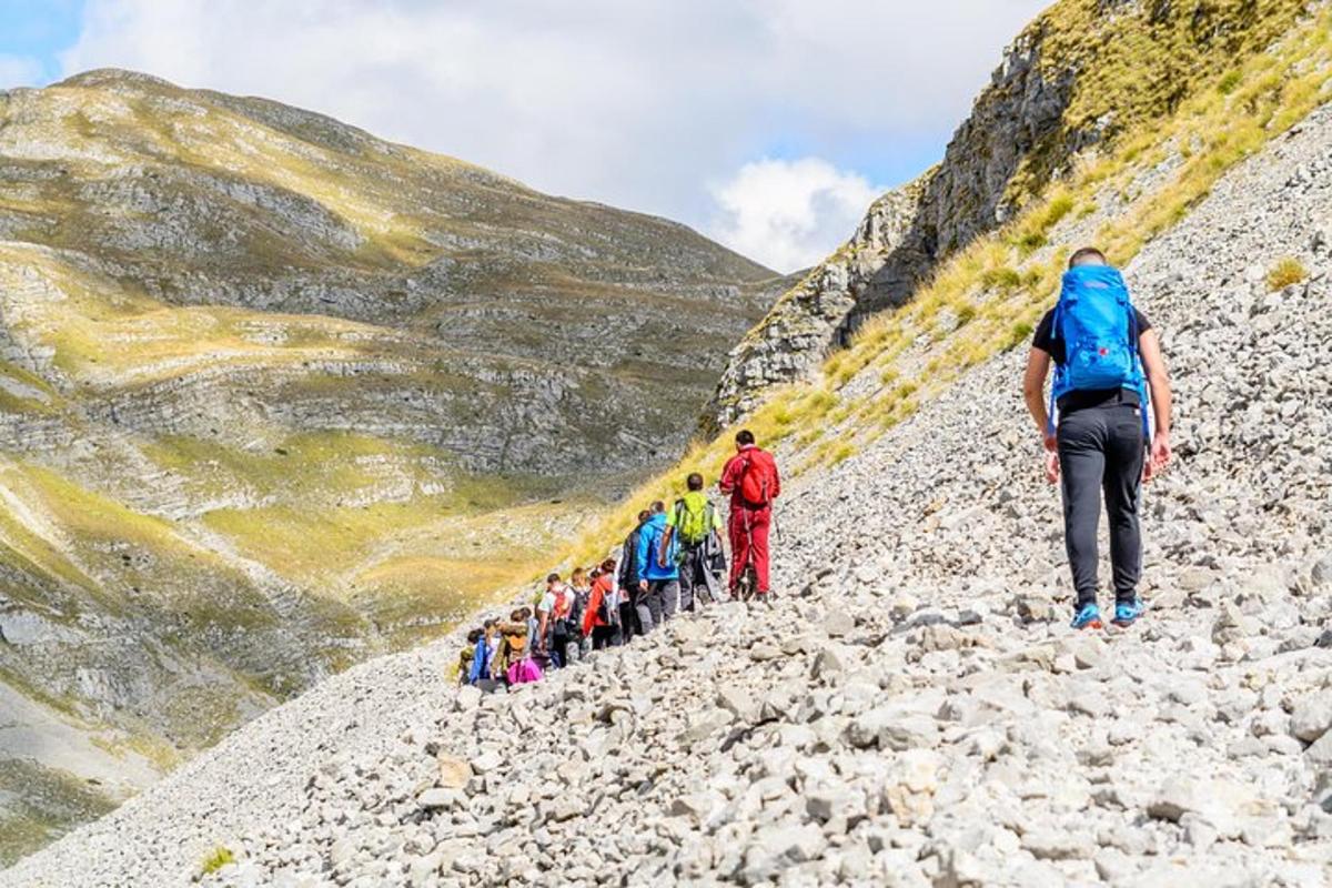 Fotografia 6 a atracției