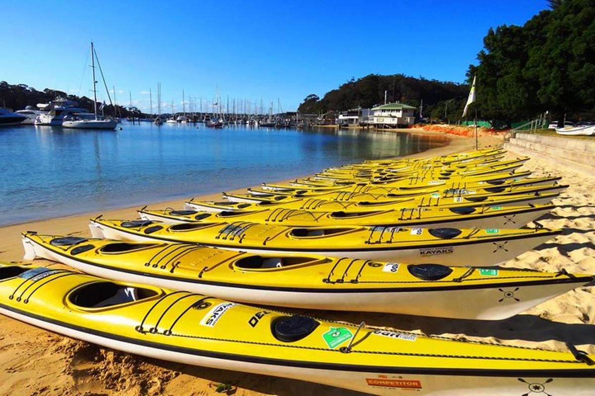 una fila di kayak gialli allineati su una spiaggia