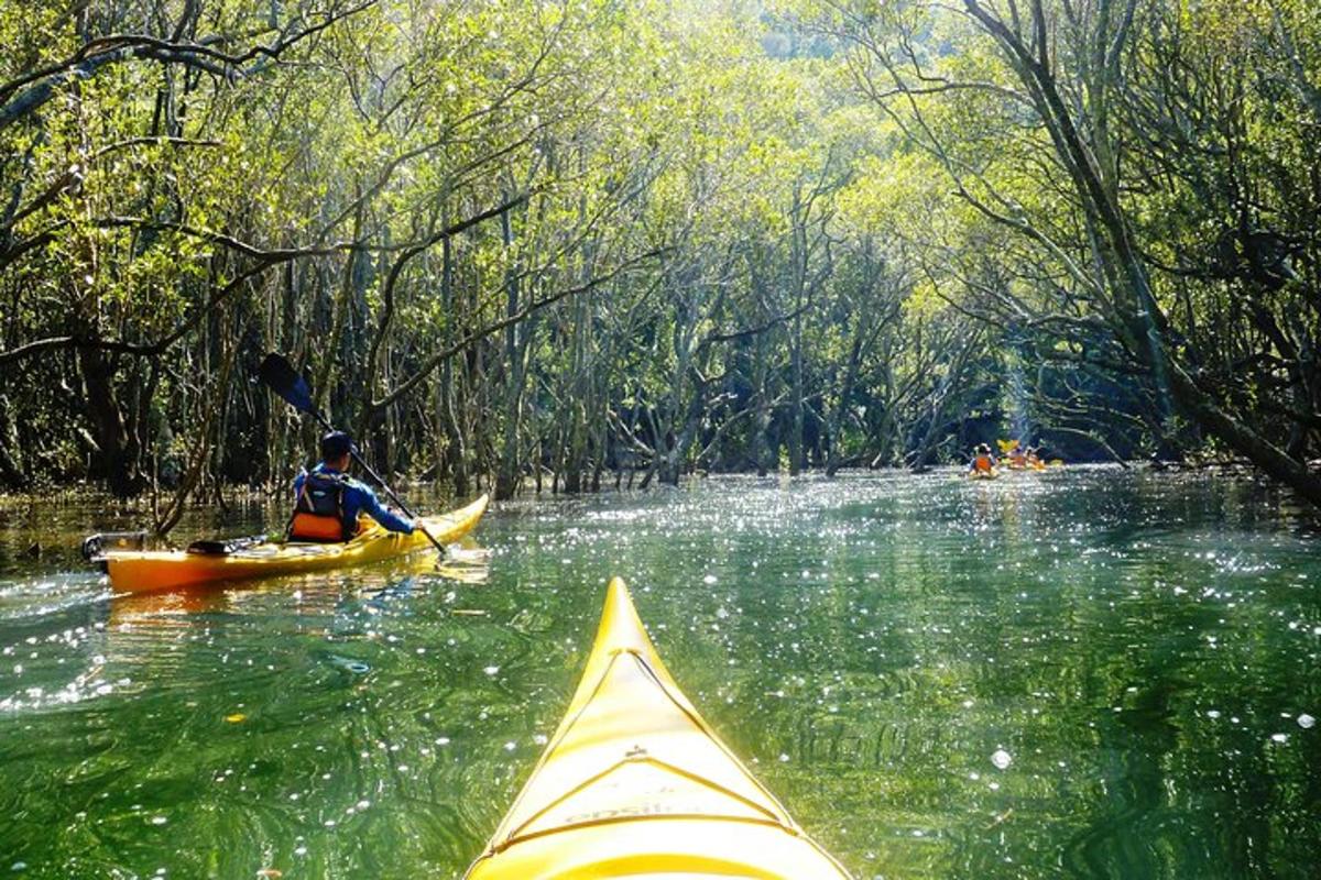 una persona in kayak su un fiume