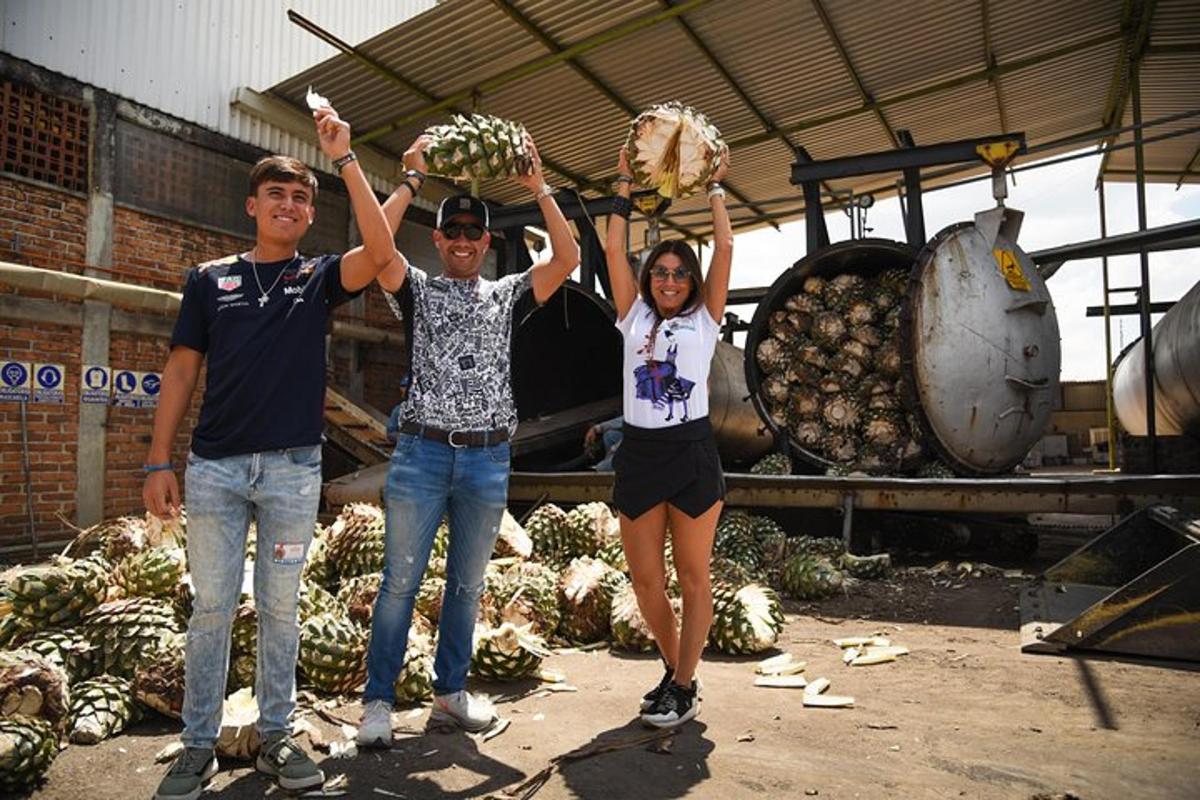 Fotografia da atração 5