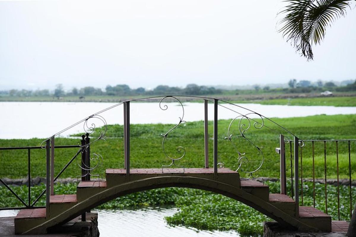 un puente de madera sobre un cuerpo de agua
