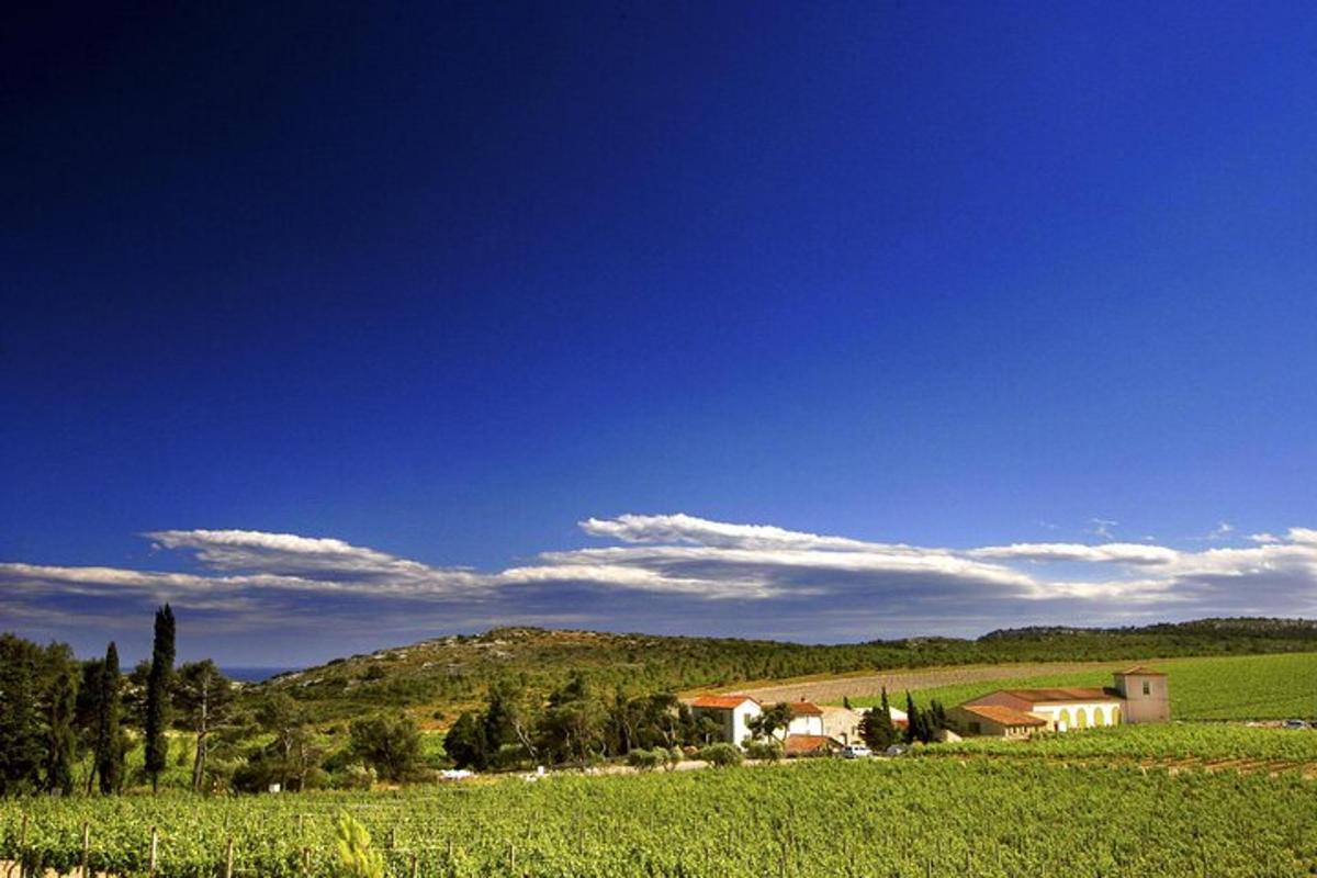 Fotografia da atração 6