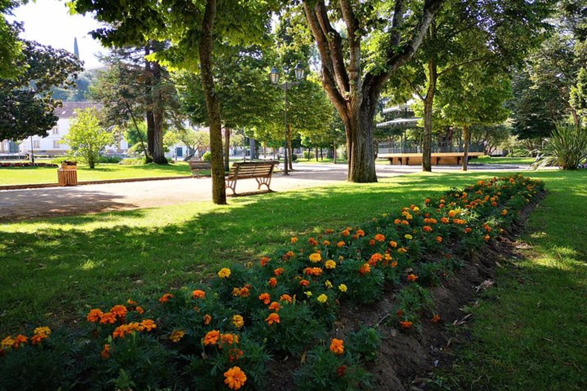 egy park egy csokor virággal a fűben