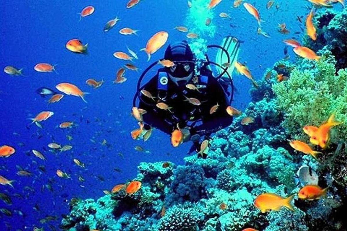 Muž plave v oceánu s hejnem ryb