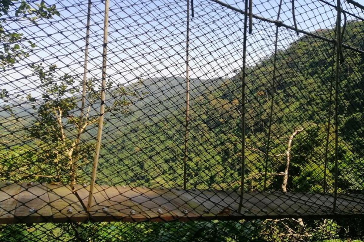 Una valla de alambre con vistas a un bosque