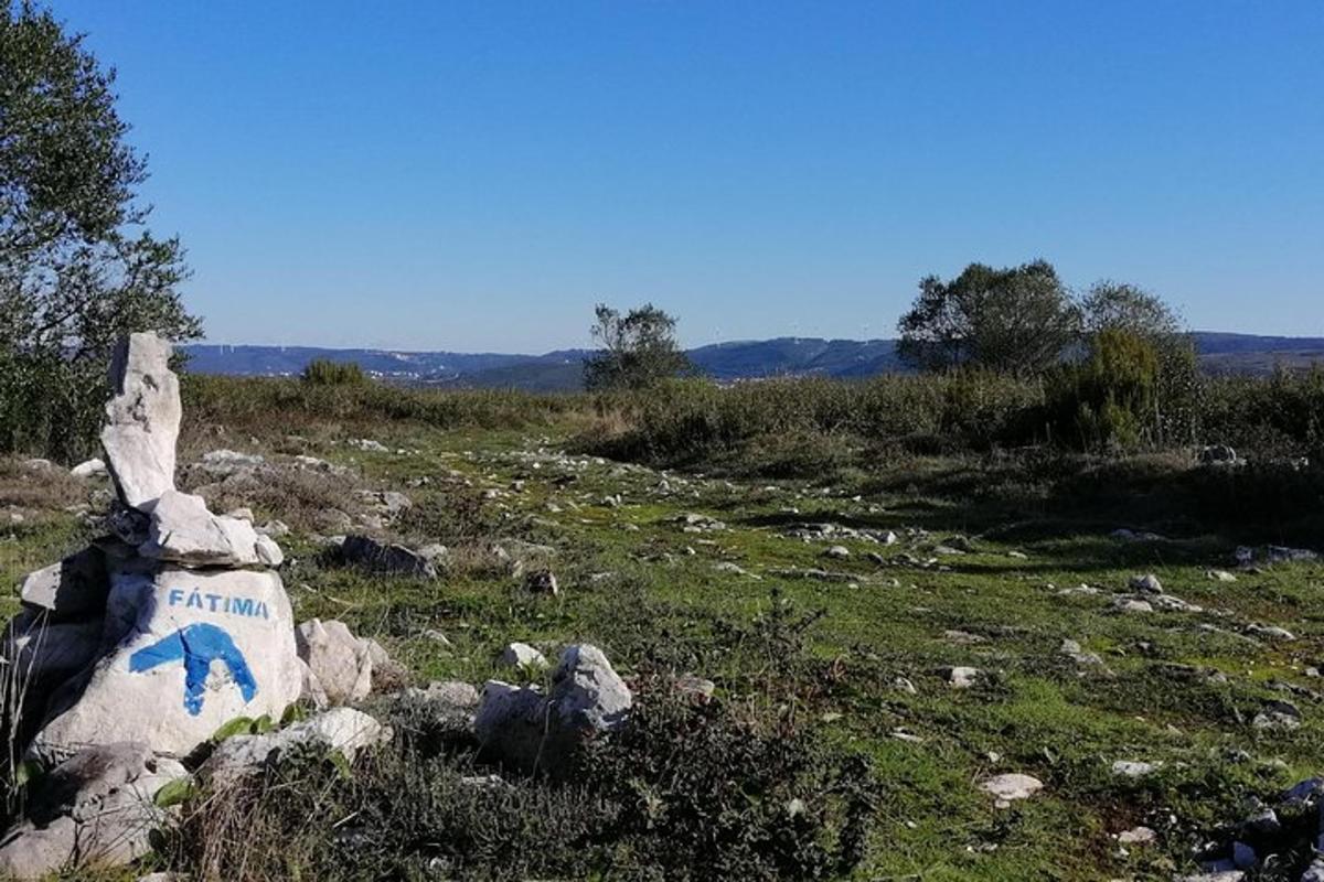 Lankytinos vietos ar pramogos nuotrauka numeris 2