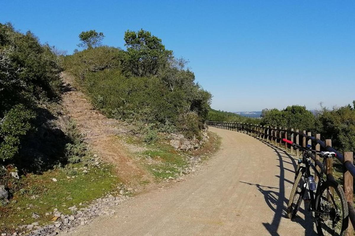 Lankytinos vietos ar pramogos nuotrauka numeris 3