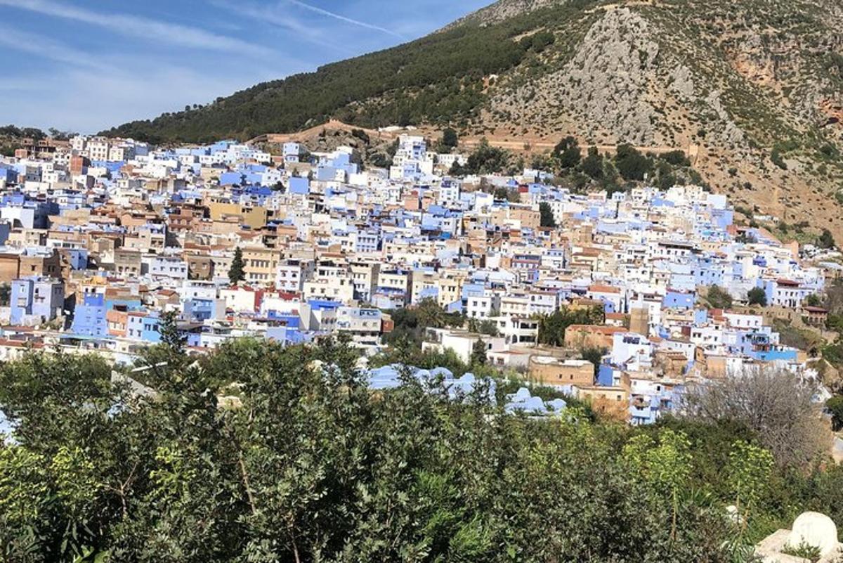 a town on a hill with blue and white buildings