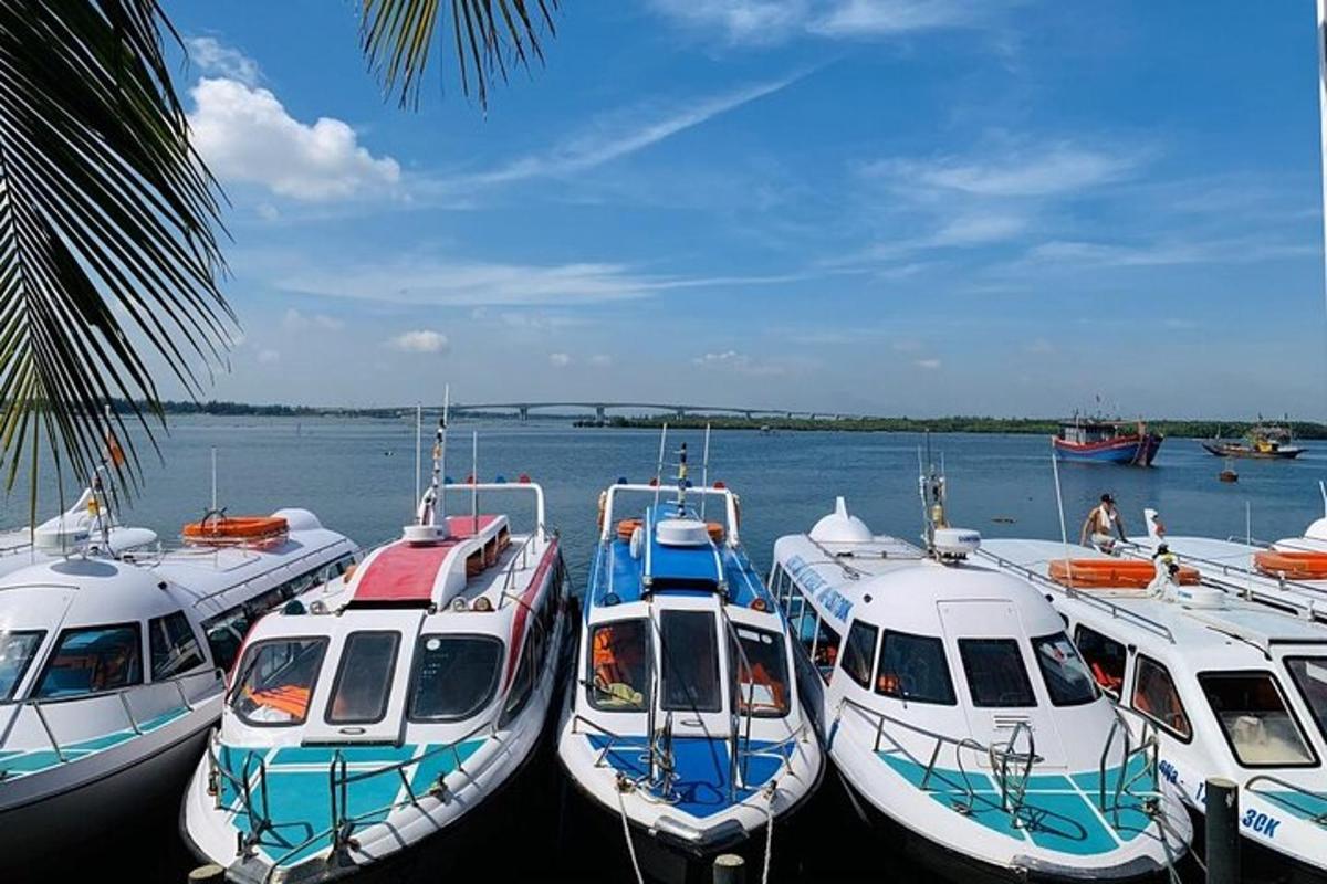 a group of boats docked in a harbor
