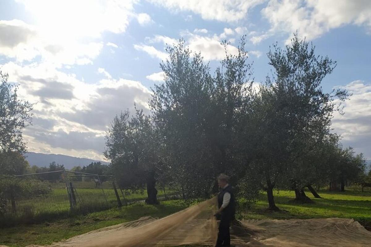 ένας άντρας περπατάει σε έναν χωματόδρομο