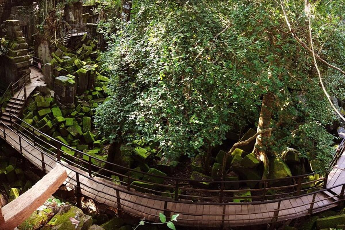 uma vista aérea de uma passarela em uma floresta