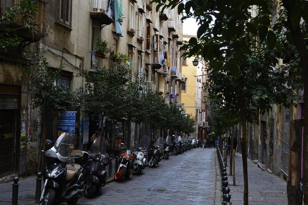 un rând de motociclete parcate pe o stradă lângă clădiri