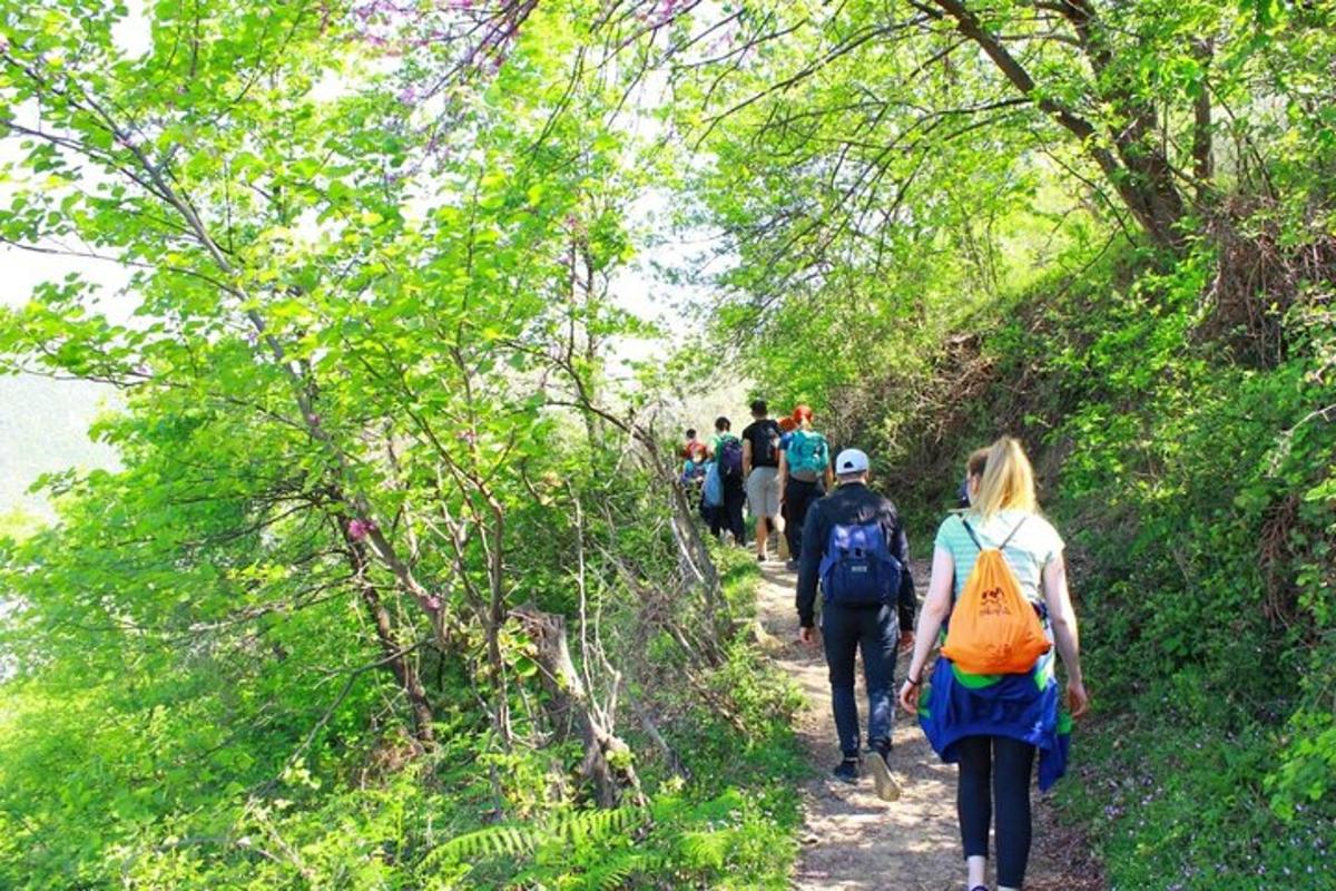un gruppo di persone che camminano lungo un sentiero