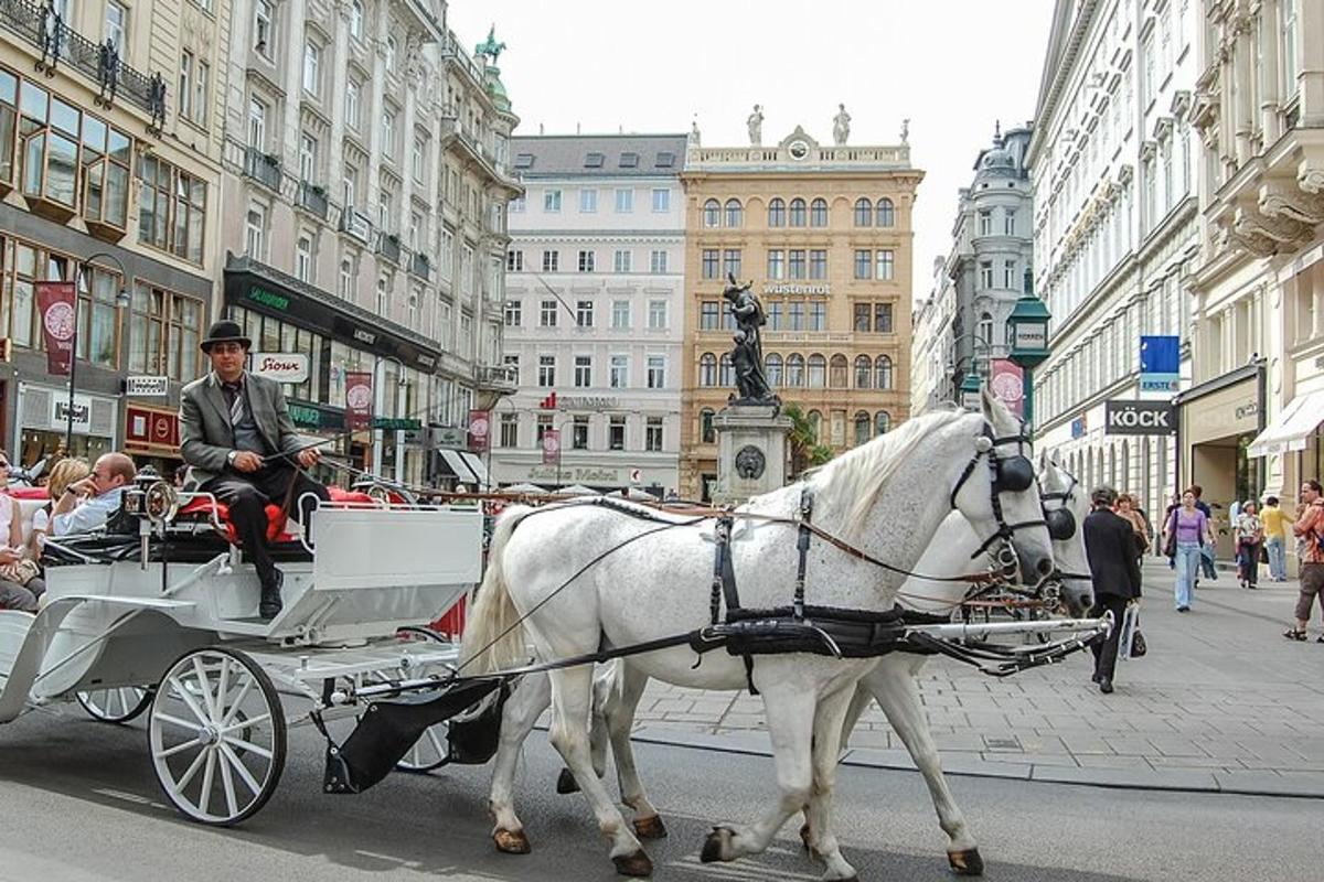 valkoinen hevonen vetää vaunuja kaupungin kadulla