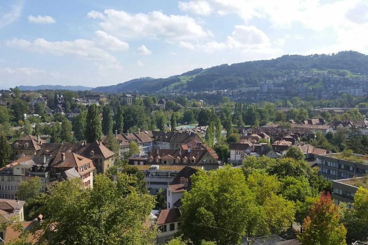 pohled na město se stromy a budovami