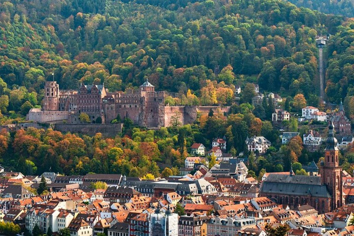 un vecchio castello in una città con alberi ed edifici