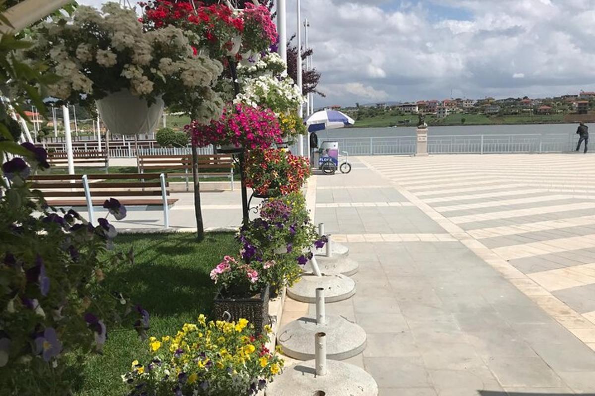 a row of flowers on display in a park