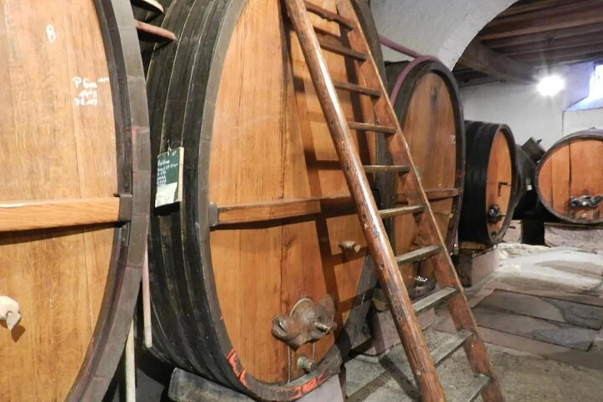 Tour ICONICS : 1/2 Journée sur la Route des vins, visite de 2 Villages+Dégust. – photo 10