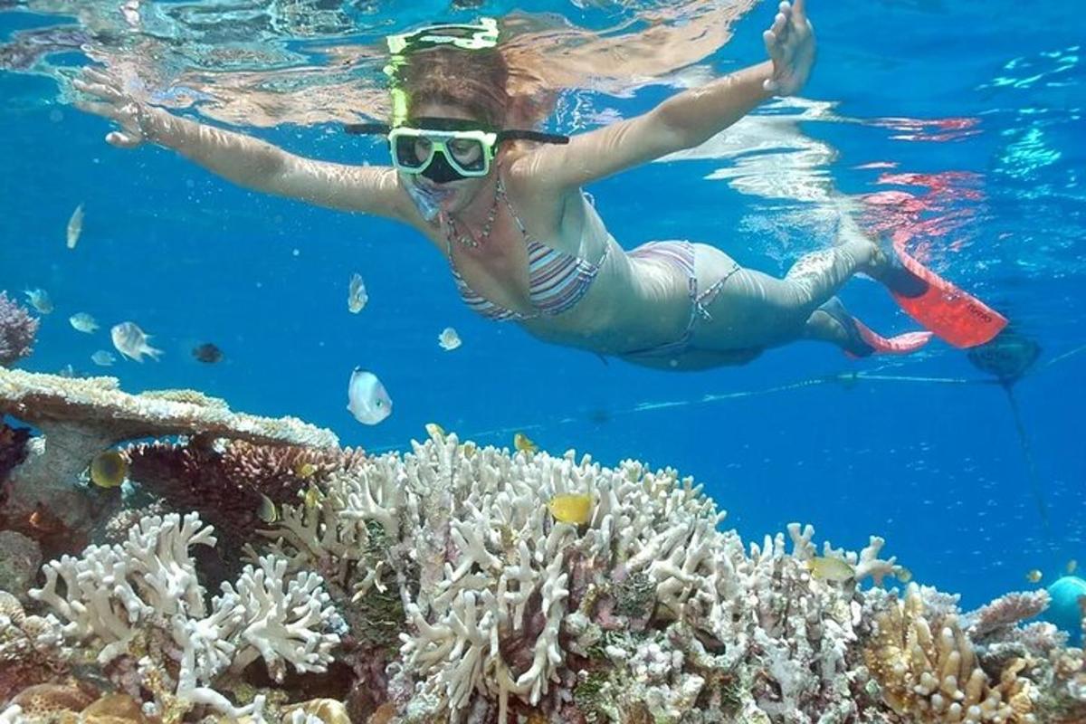 a woman is swimming over a coral reef