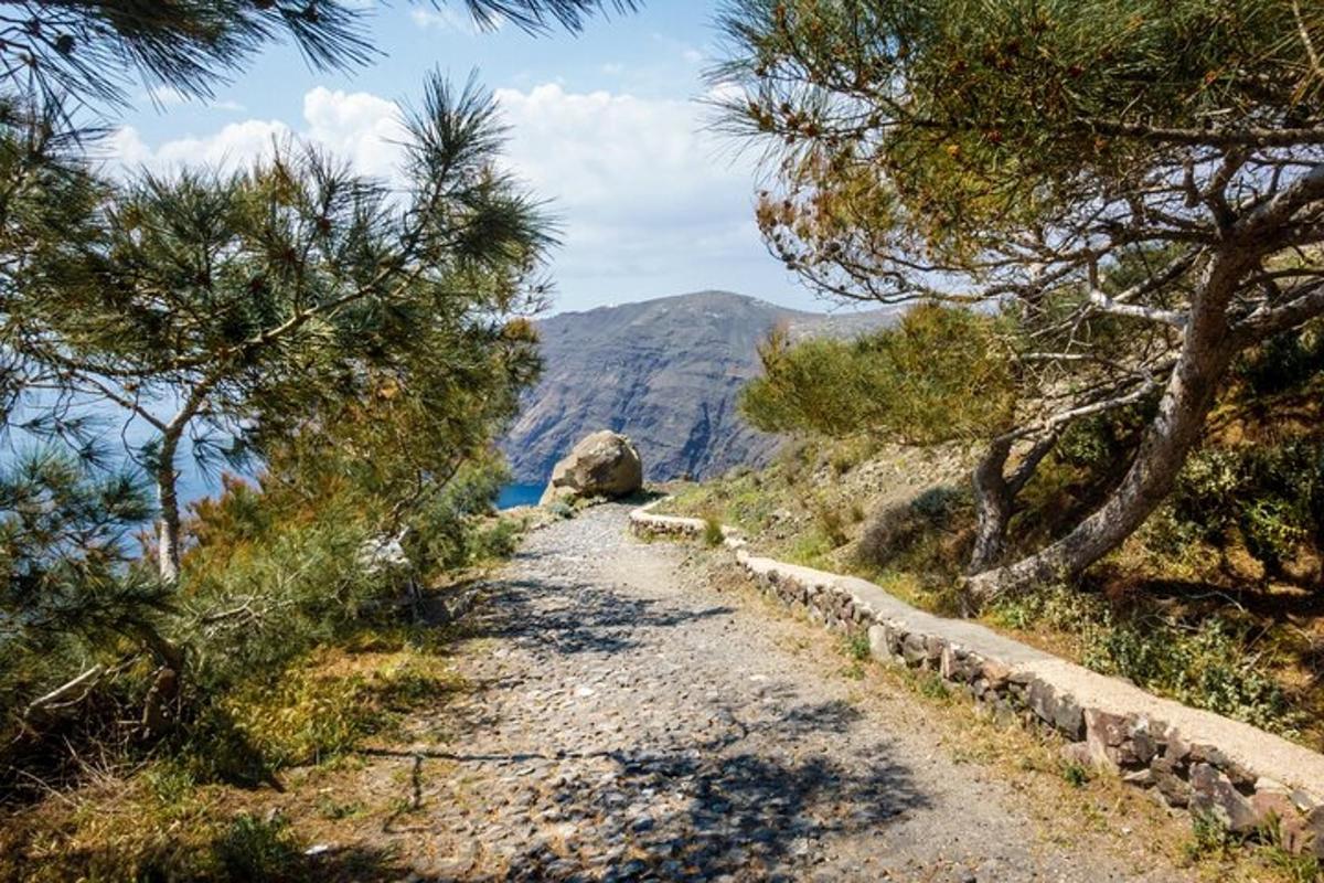 un camí de terra amb arbres al vessant d'una muntanya