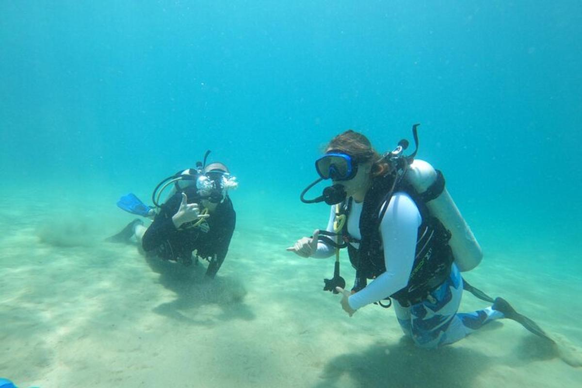 two people are scuba diving in the water