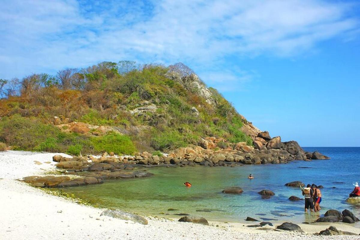 um grupo de pessoas brincando na água em uma praia