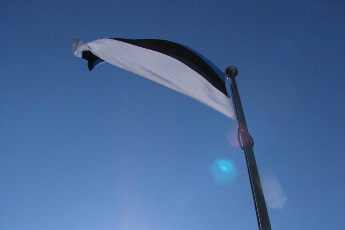 et flag, der vajer på den blå himmel
