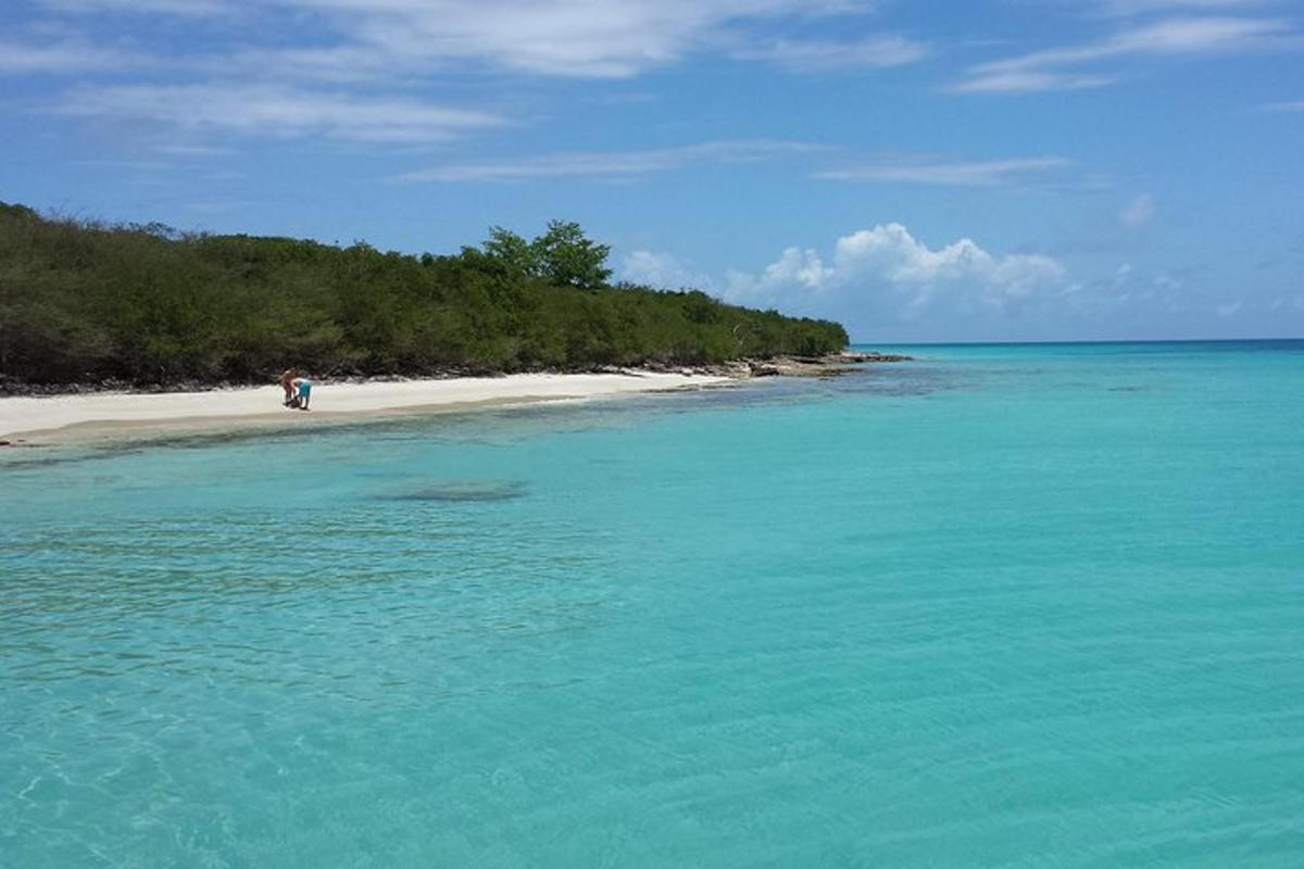 una persona in piedi su una spiaggia nell'oceano