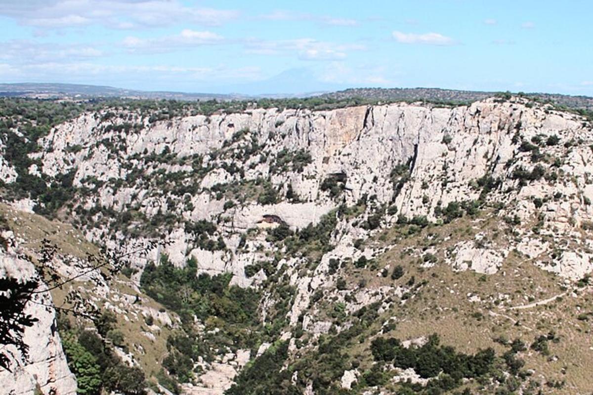 pogled na skalnato goro z drevesi