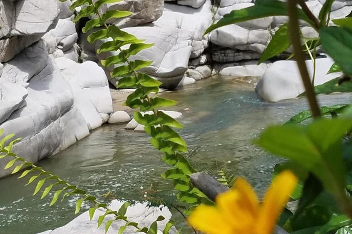 a pool of water with rocks and a yellow flower