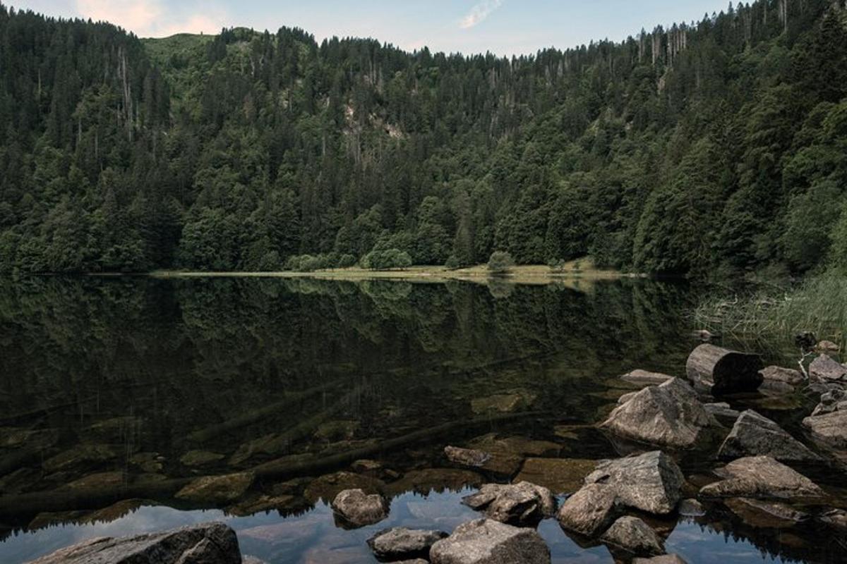 велика водена површина са камењем и дрвећем