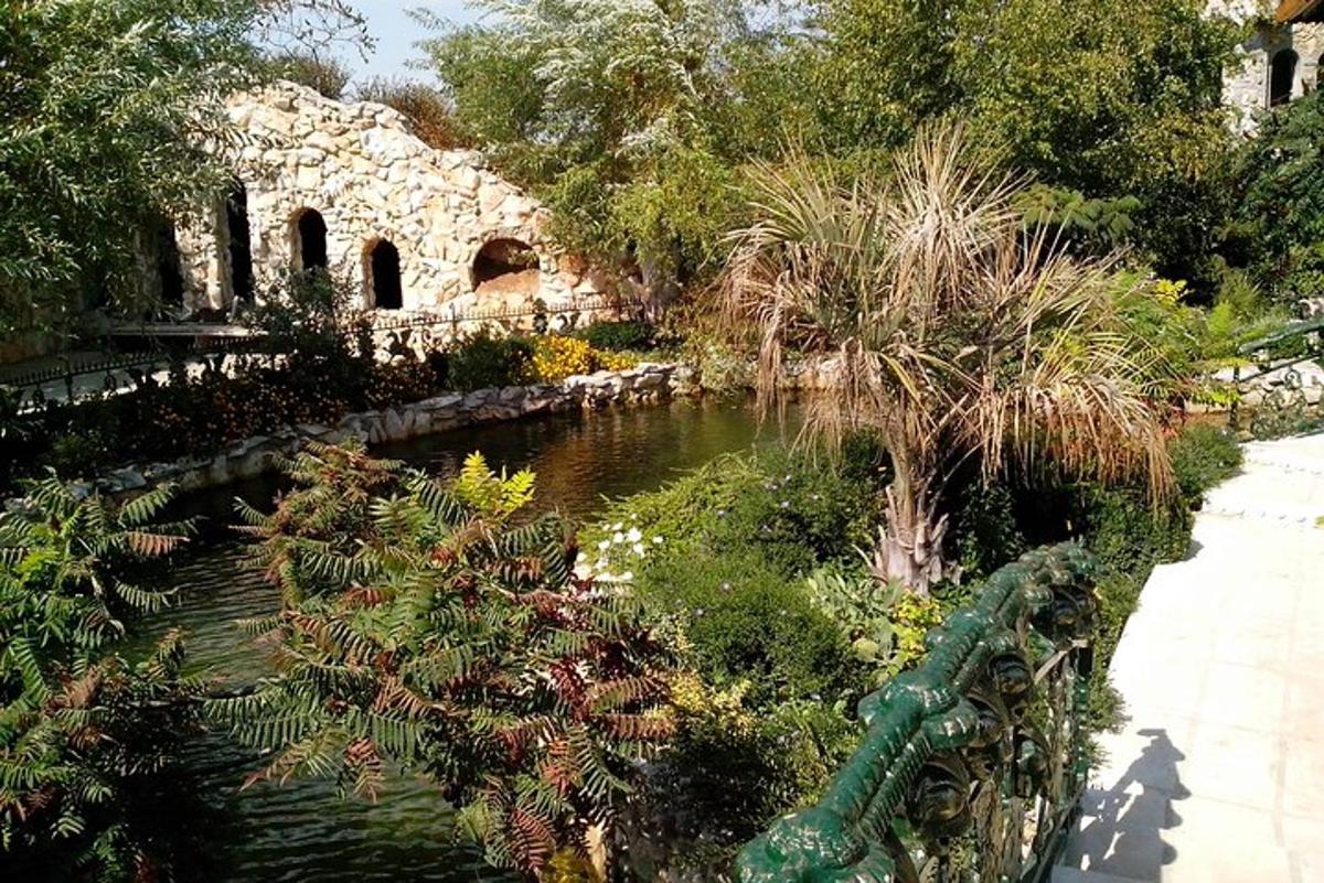 a garden with a pond with plants and trees