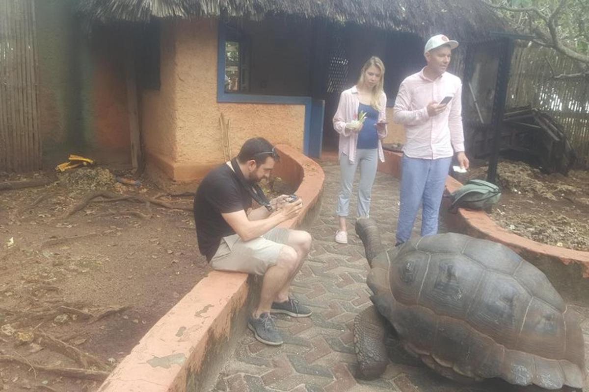 skupina tří lidí stojící vedle želvy