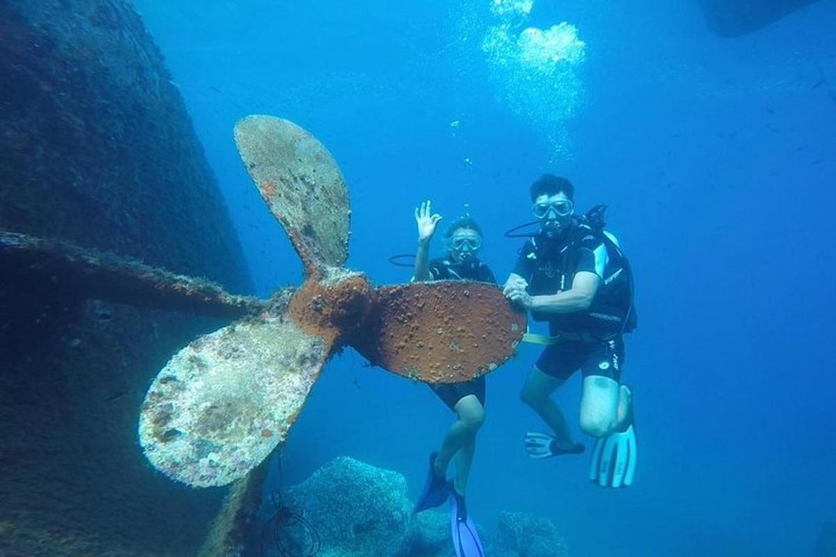 due persone in piedi nell'acqua con una conchiglia gigante